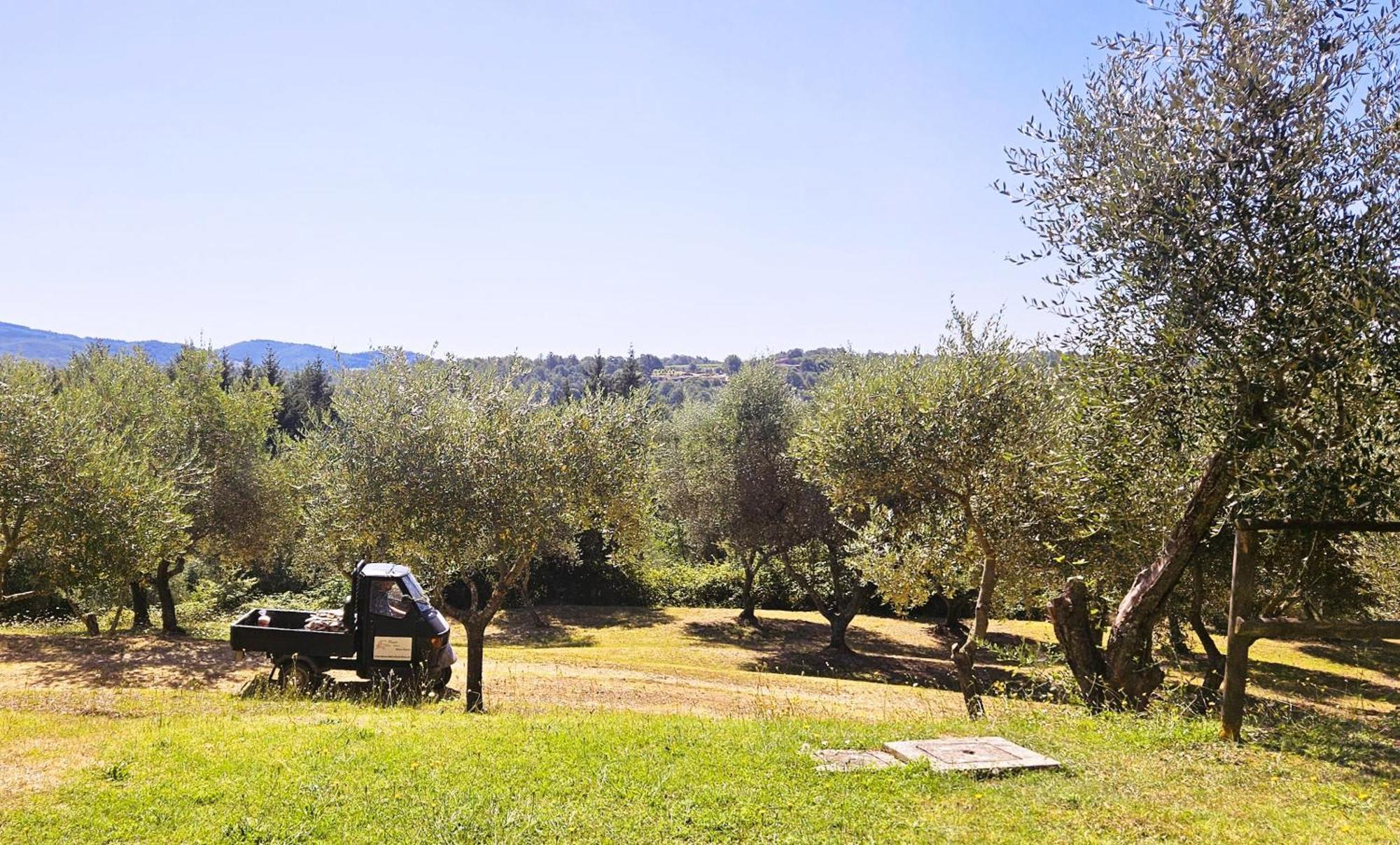 Città della PievePian Della Bandinaアパートメント エクステリア 写真